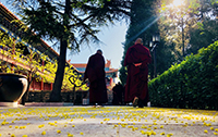 1635832626248252.jpg 西黃寺博物館.jpg